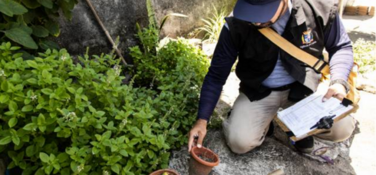  Pelotas monitora sete casos de dengue