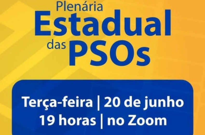  Plenária Estadual atualiza pauta sobre PSOs